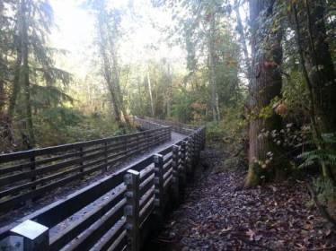 Fennel Creek Trail