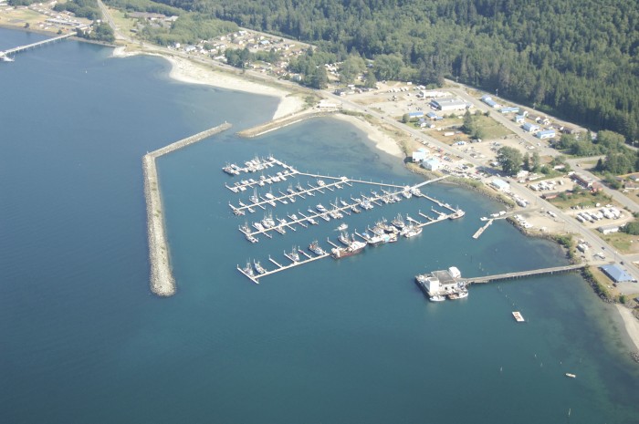 Erkak ayolning oyoqlaridan spermani yalaydi