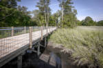 Thalia Creek Greenway